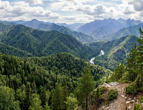 Indirizzo pubblico forestale-1.jpg