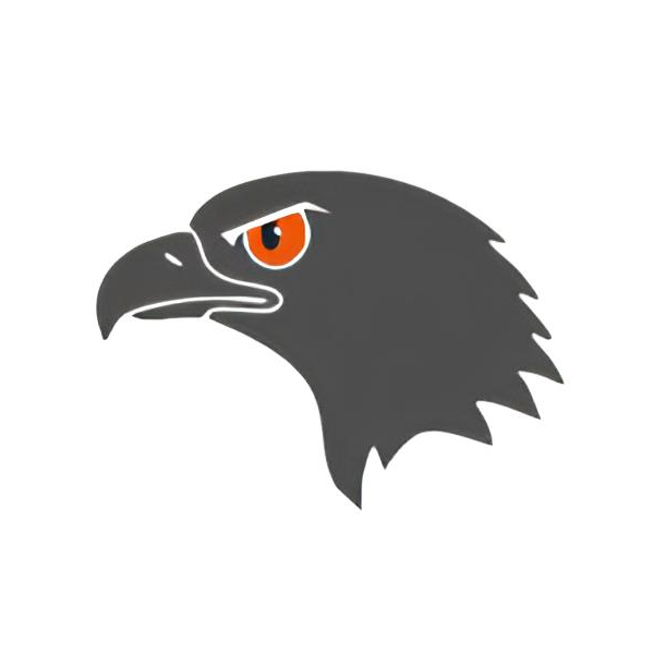 اپتیک